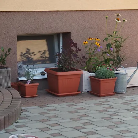 Amy Apartament
